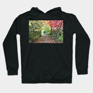 Autumn Pathway Hoodie